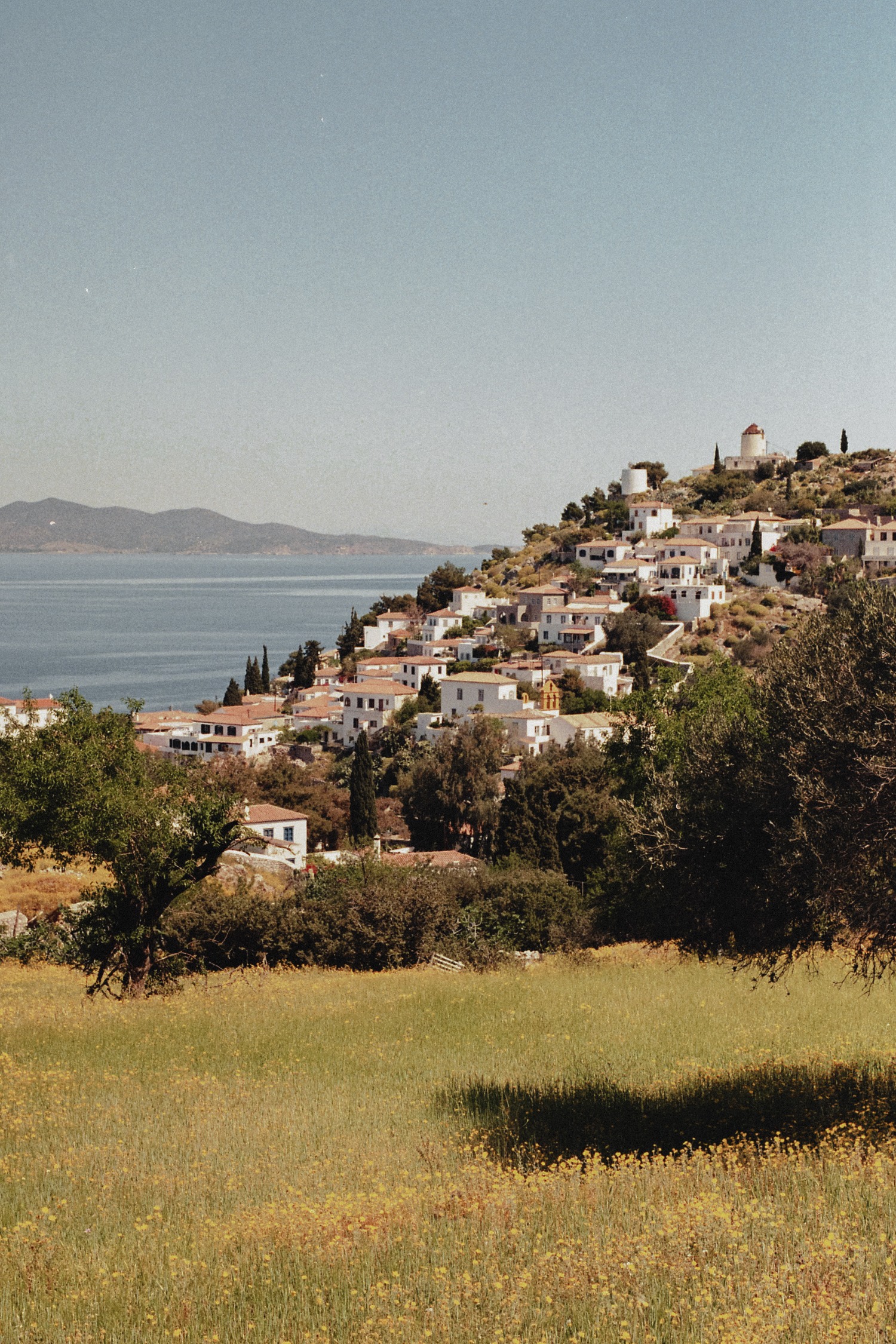 A Love Letter to Hydra