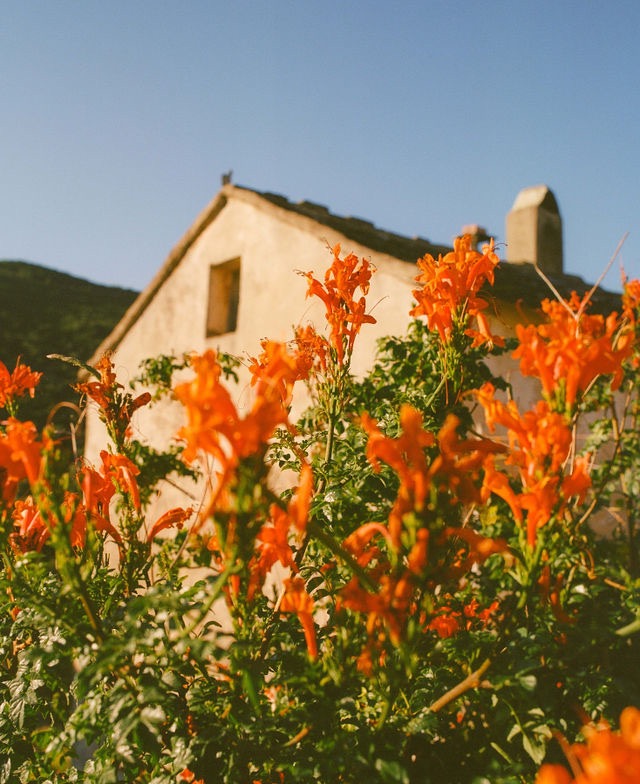 Corsica as my Guide to Contemplation