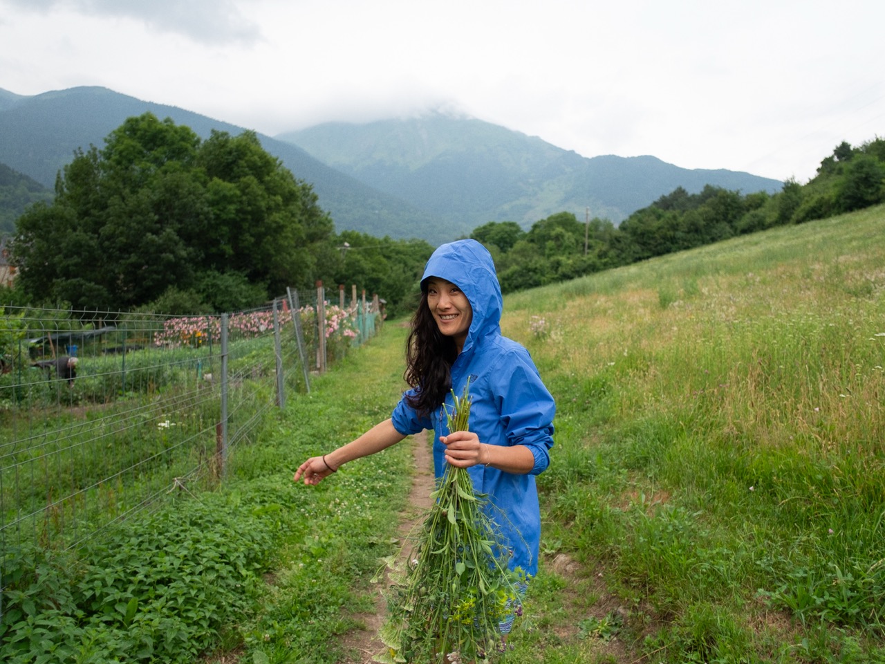 A Plant-Based Guide to Japanese Food - image